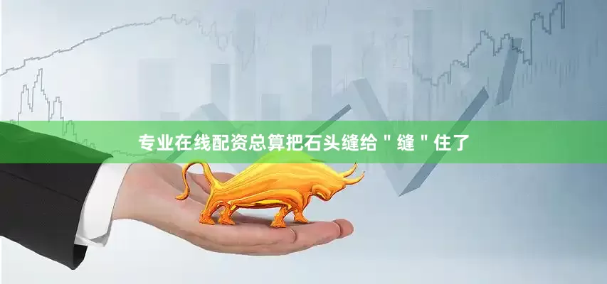 专业在线配资总算把石头缝给＂缝＂住了