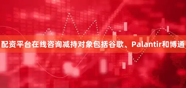 配资平台在线咨询减持对象包括谷歌、Palantir和博通