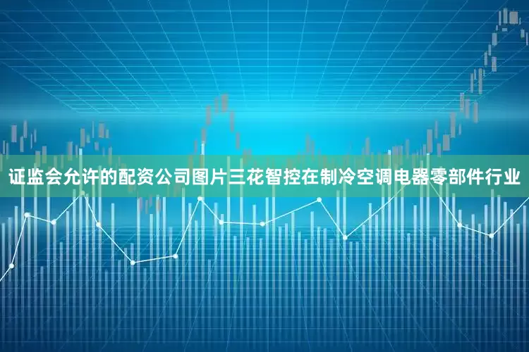 证监会允许的配资公司图片三花智控在制冷空调电器零部件行业